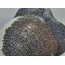 Pigment Pulbere Argintiu pt Rasina nr10 Pigment Pulbere Argintiu pt Rasina nr10