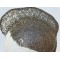 Pigment Pulbere Argintiu pt Rasina nr11 Pigment Pulbere Argintiu pt Rasina nr11