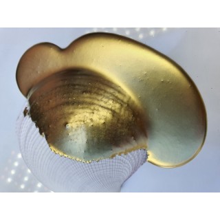 Loose Pigment Resin Gold nr1 - gramaj 10g