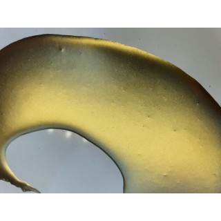 Loose Pigment Resin Gold nr1 - gramaj 10g