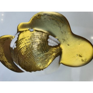 Loose Pigment Resin Gold nr3 - gramaj 10g