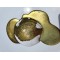 Loose Pigment Resin Gold nr3 Loose Pigment Resin Gold nr3