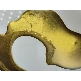 Loose Pigment Resin Gold nr3 - gramaj 10g