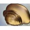 Pigment Pulbere Auriu pt Rasina nr8 Pigment Pulbere Auriu pt Rasina nr8