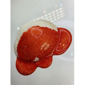 Pigment Pulbere Rasina Epoxidica - Smoothie Pigment Pulbere Rasina Epoxidica - Smoothie