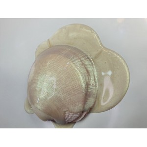 Pigment Pulbere Rasina Epoxidica - Snuff Pigment Pulbere Rasina Epoxidica - Snuff