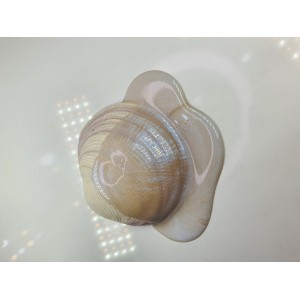 Pigment Pulbere Rasina Epoxidica - Zoyo Pigment Pulbere Rasina Epoxidica - Zoyo