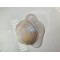 Pigment Pulbere Rasina Epoxidica - Zoyo Pigment Pulbere Rasina Epoxidica - Zoyo