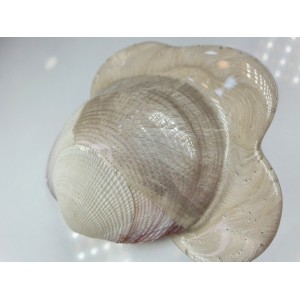 Loose Resin Pigment - Venus Loose Resin Pigment - Venus