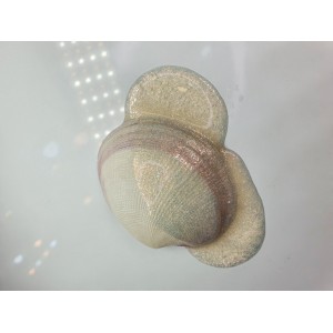 Pigment Pulbere Rasina Epoxidica - Owl Pigment Pulbere Rasina Epoxidica - Owl