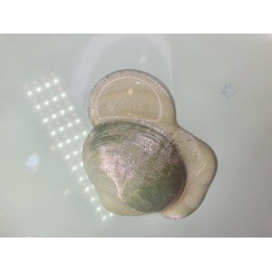 Pigment Pulbere Rasina Epoxidica - Lincoln Pigment Pulbere Rasina Epoxidica - Lincoln