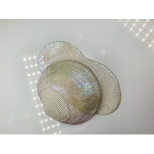 Loose Resin Pigment - Delhi Loose Resin Pigment - Delhi