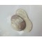 Pigment Pulbere Rasina Epoxidica - Turtle Pigment Pulbere Rasina Epoxidica - Turtle
