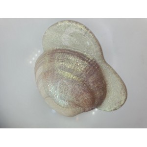Pigment Pulbere Rasina Epoxidica - Zorro Pigment Pulbere Rasina Epoxidica - Zorro