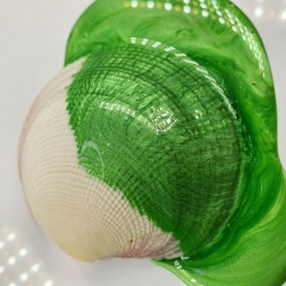 Loose Resin Pigment - Envy