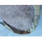 Glass for resin nr5 Glass for resin nr5