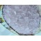 Glass for resin nr6 Glass for resin nr6