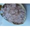 Glass for resin nr8 Glass for resin nr8